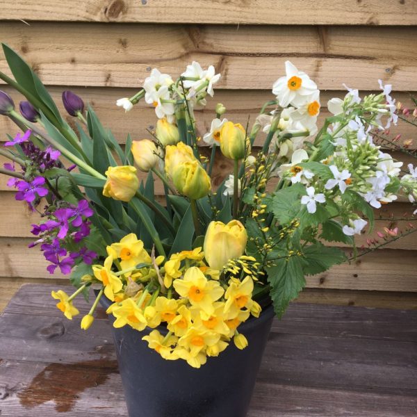 Our April Flower Bucket